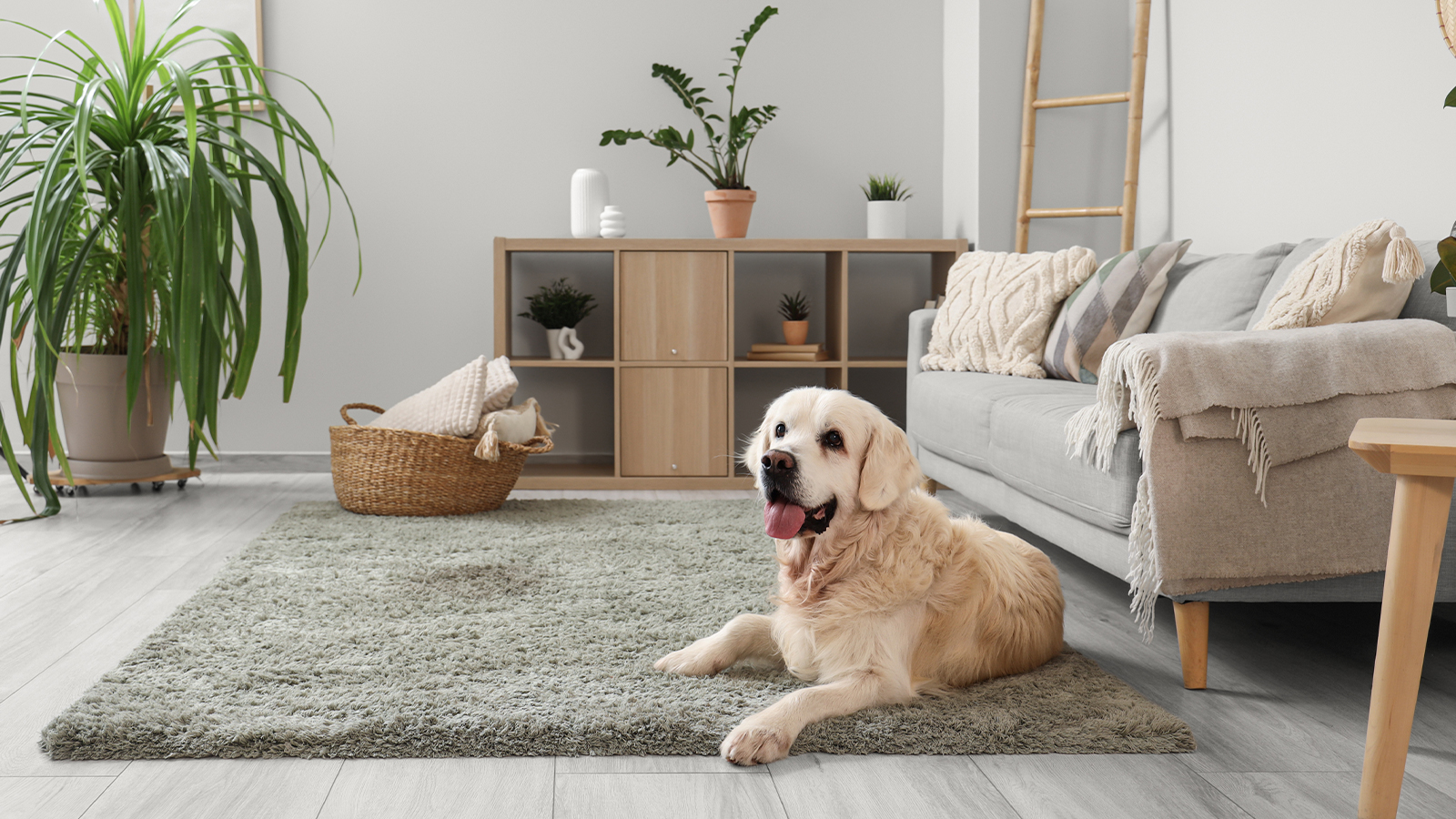 Smart Home Funktion Anwesenheitssimulator